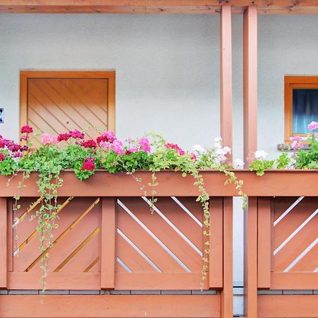 Apartment Landhotel Zum Storchennest Bann Dış mekan fotoğraf